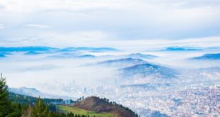 Bosnia deforestazione